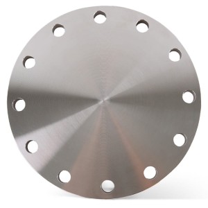 Flanșă oarba forjată din oțel inoxidabil DN250 273 mm PN16 1.4541 / 321
