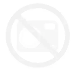 Țeavă din oțel inoxidabil fără sudură rezistentă la căldură și rezistentă la acid DN50 60,3 mm x 5 mm material 1.4749 250cm